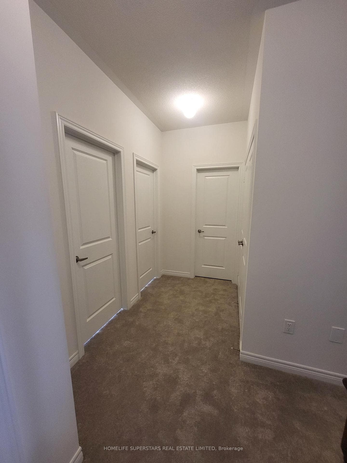 1247 Winding Wood Trail photo 14