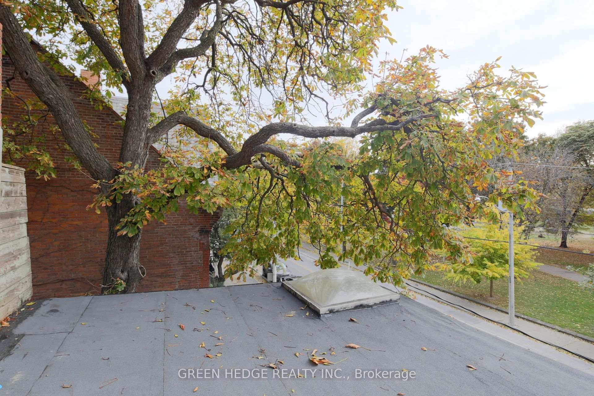 207 George Street photo 19