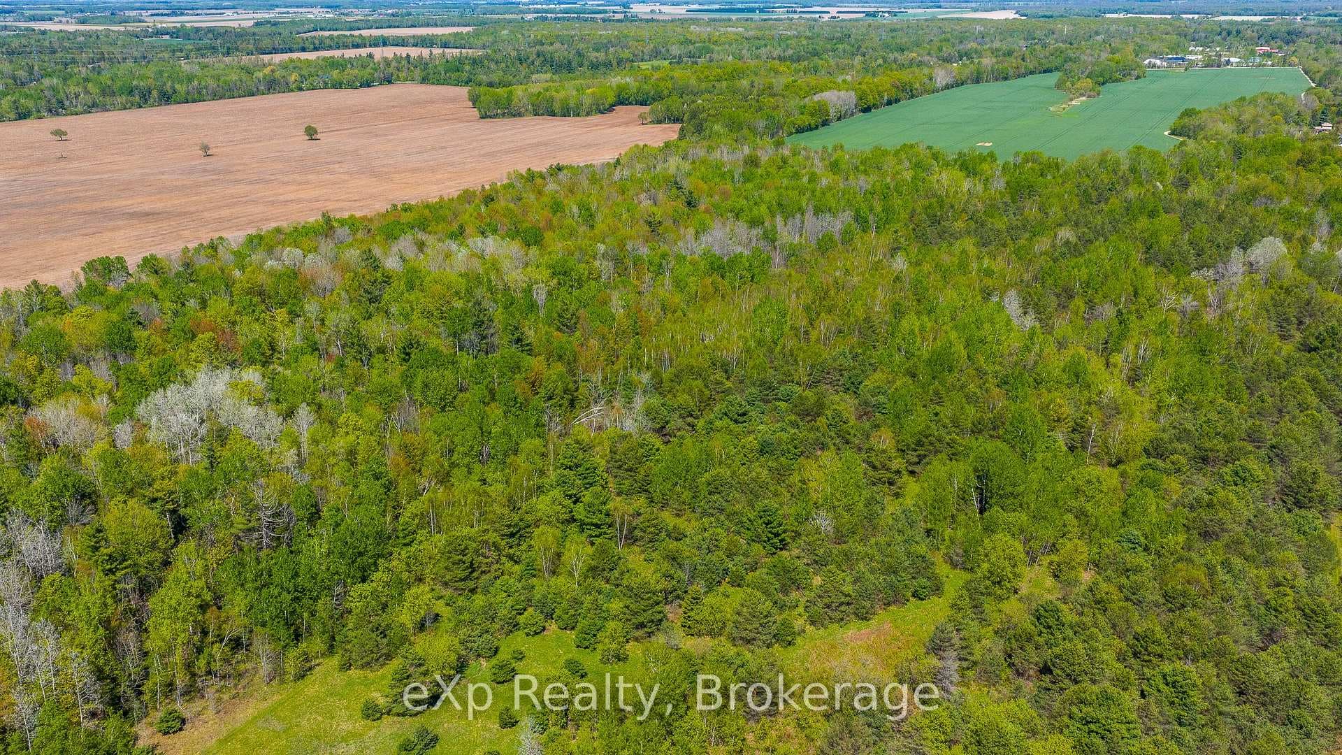 5716 County Road 9 N/A photo 35