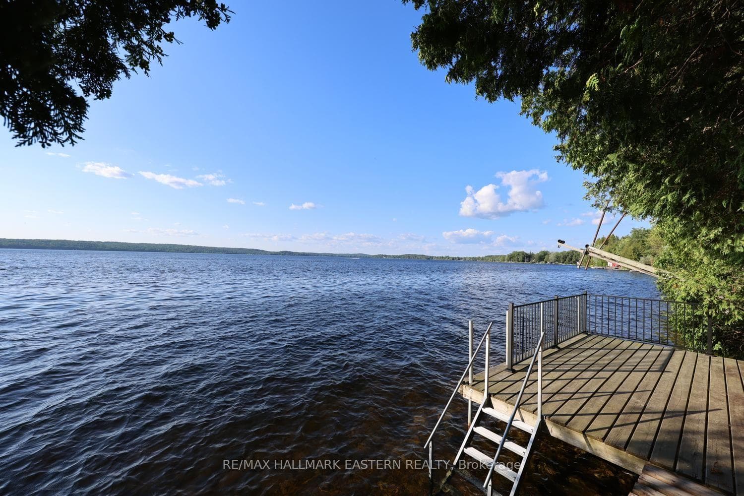 173 High Shore Road photo 9