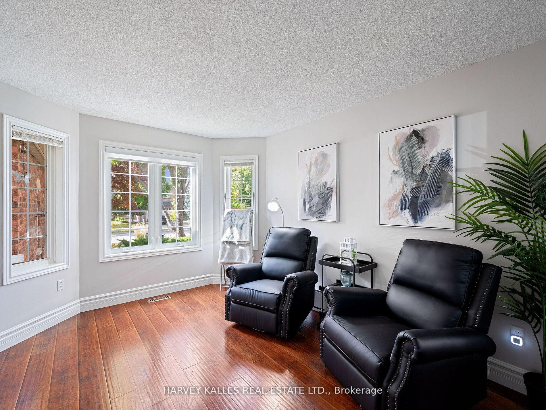 146 Veneto Drive photo 5