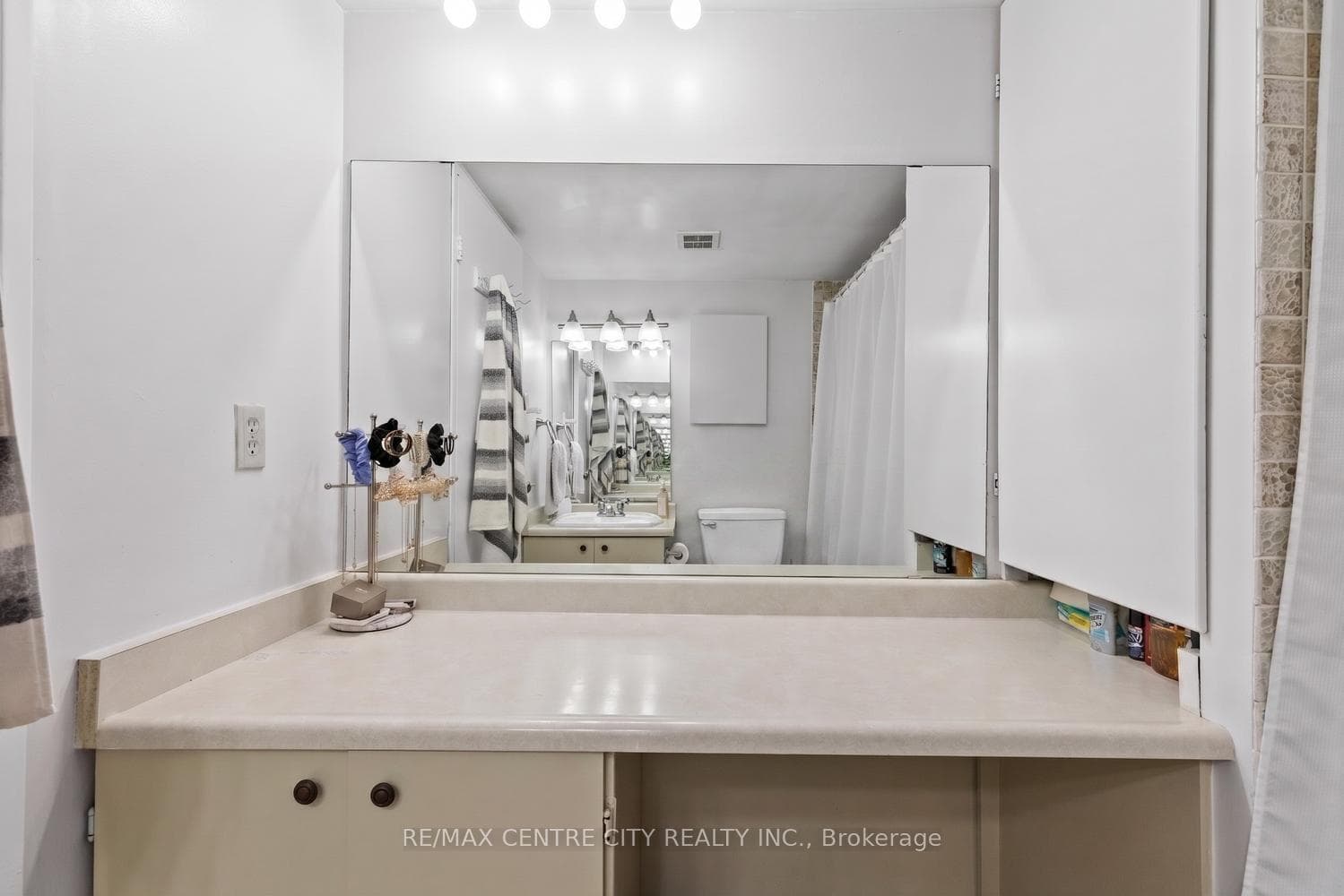 Ensuite Makeup Area