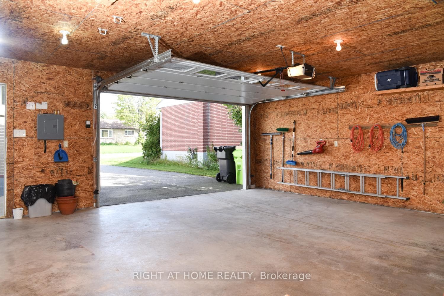 15 Bainbridge Street photo 23