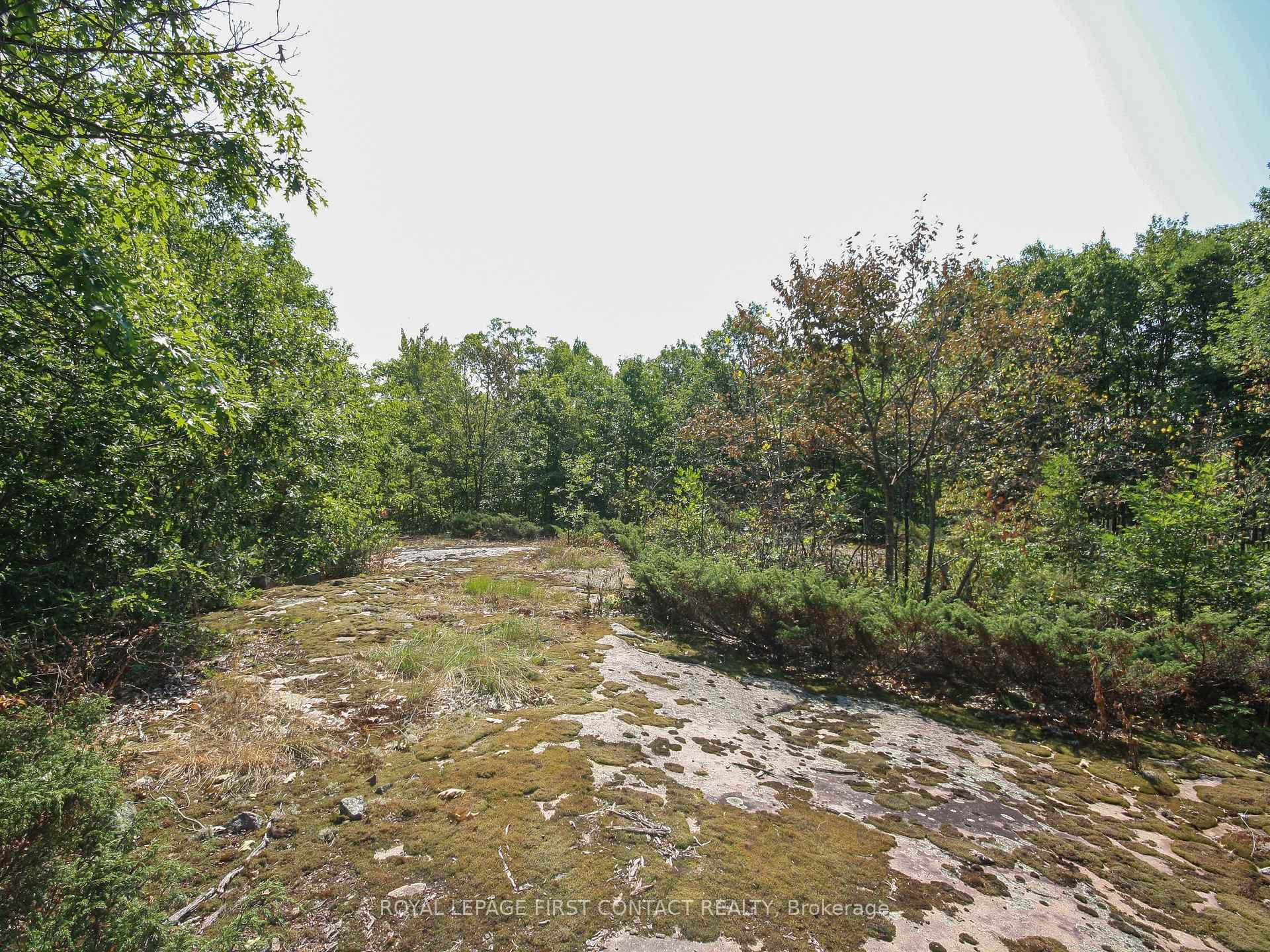 213 Birch Acres Drive photo 38