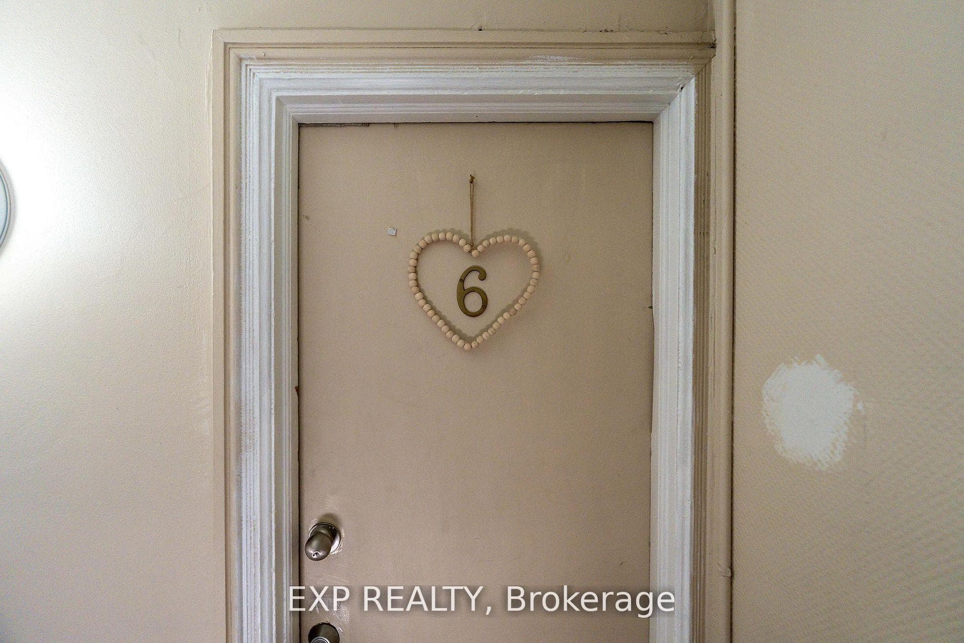 88 Maclaren Street photo 6