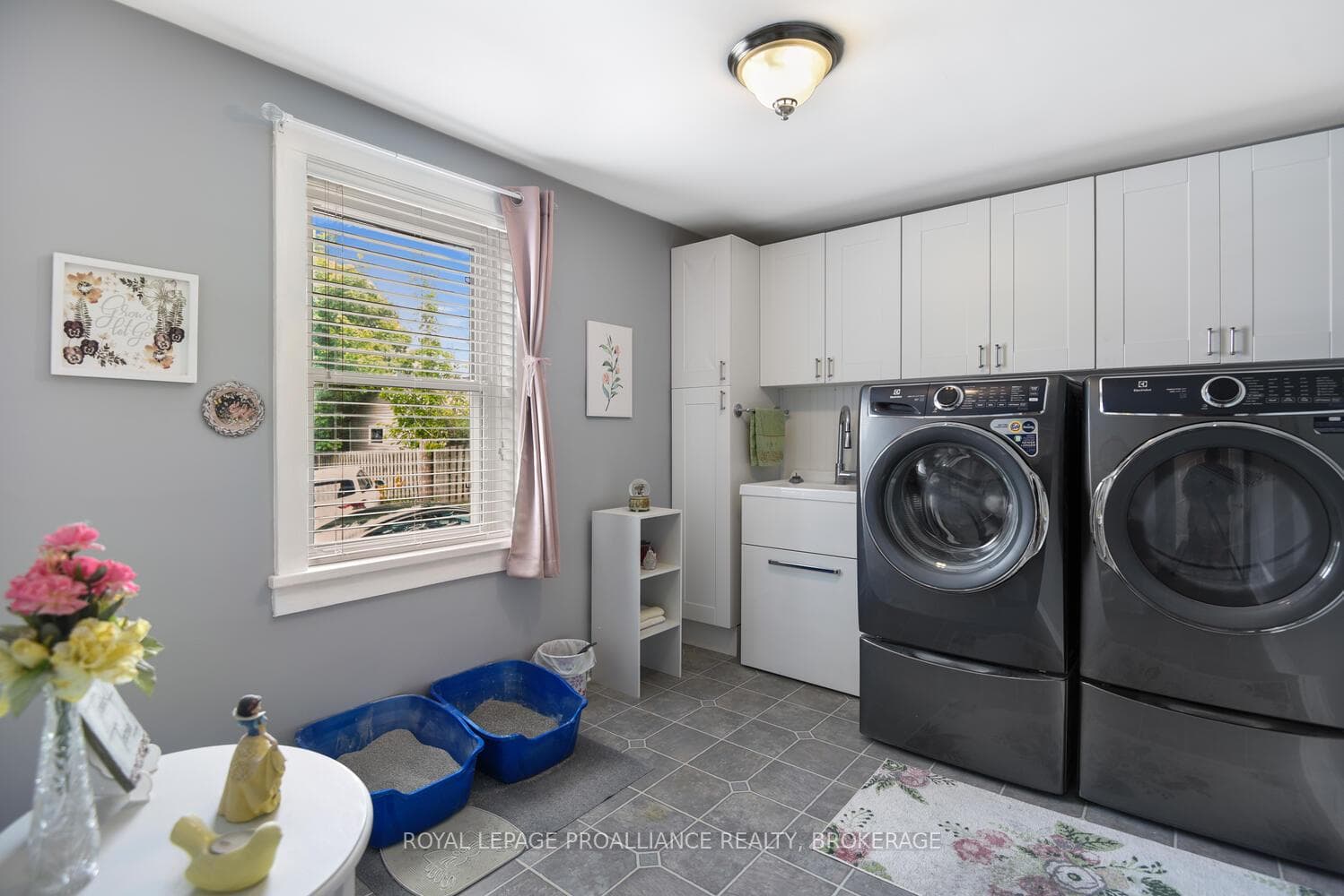 16 Mccready Street photo 16