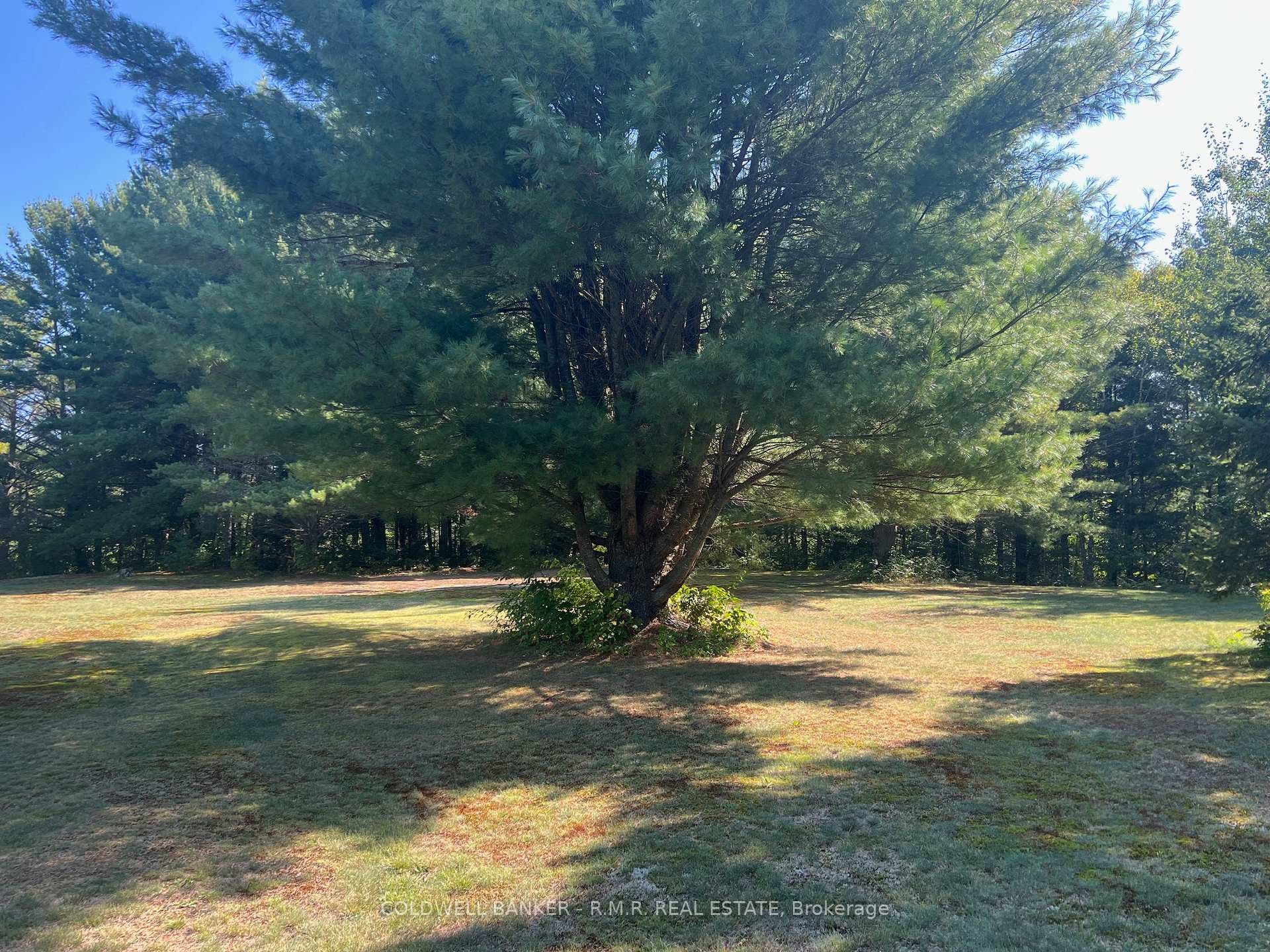 1371 Howland Junction Road photo 7
