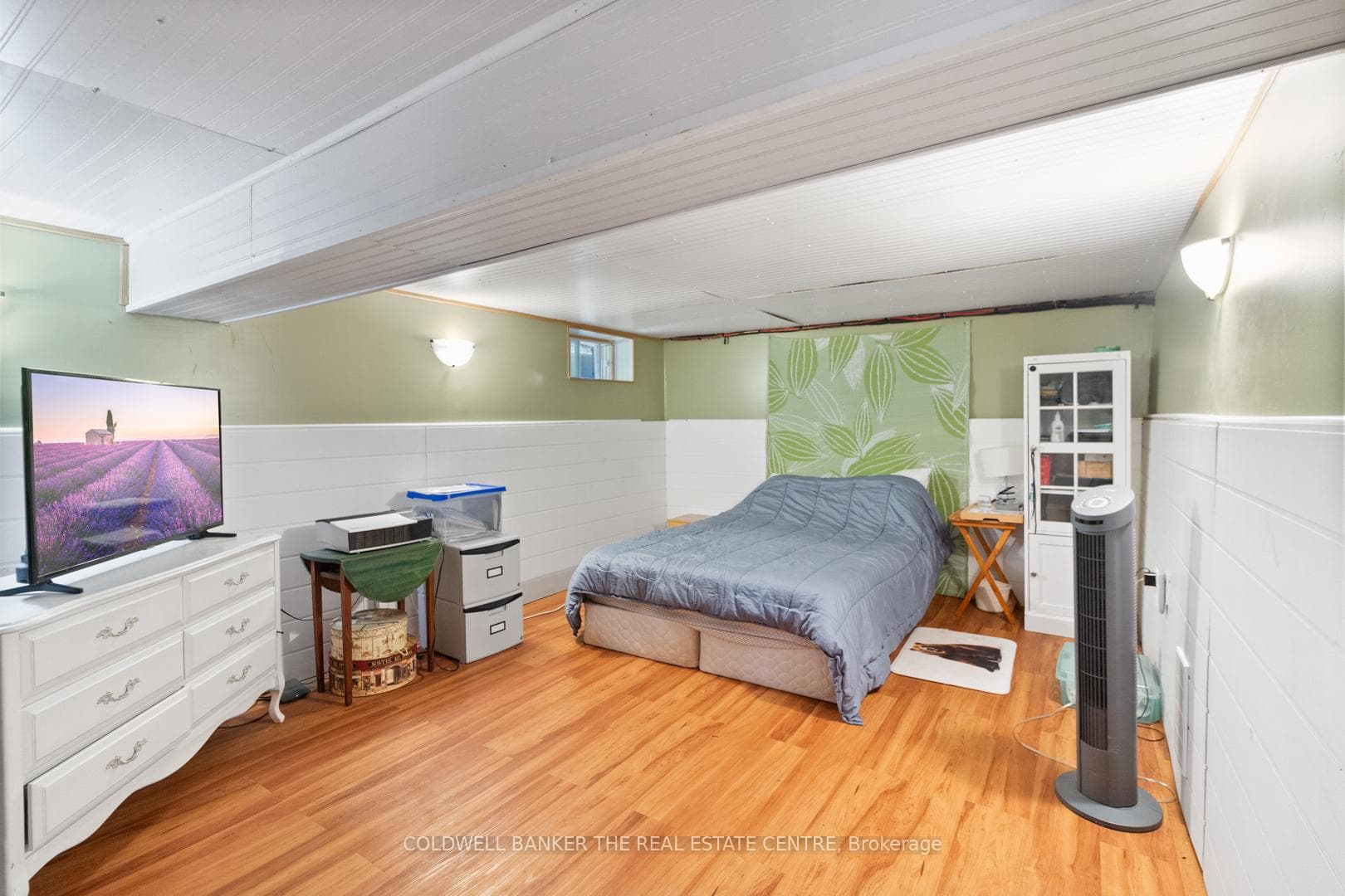 Lower Level Bedroom