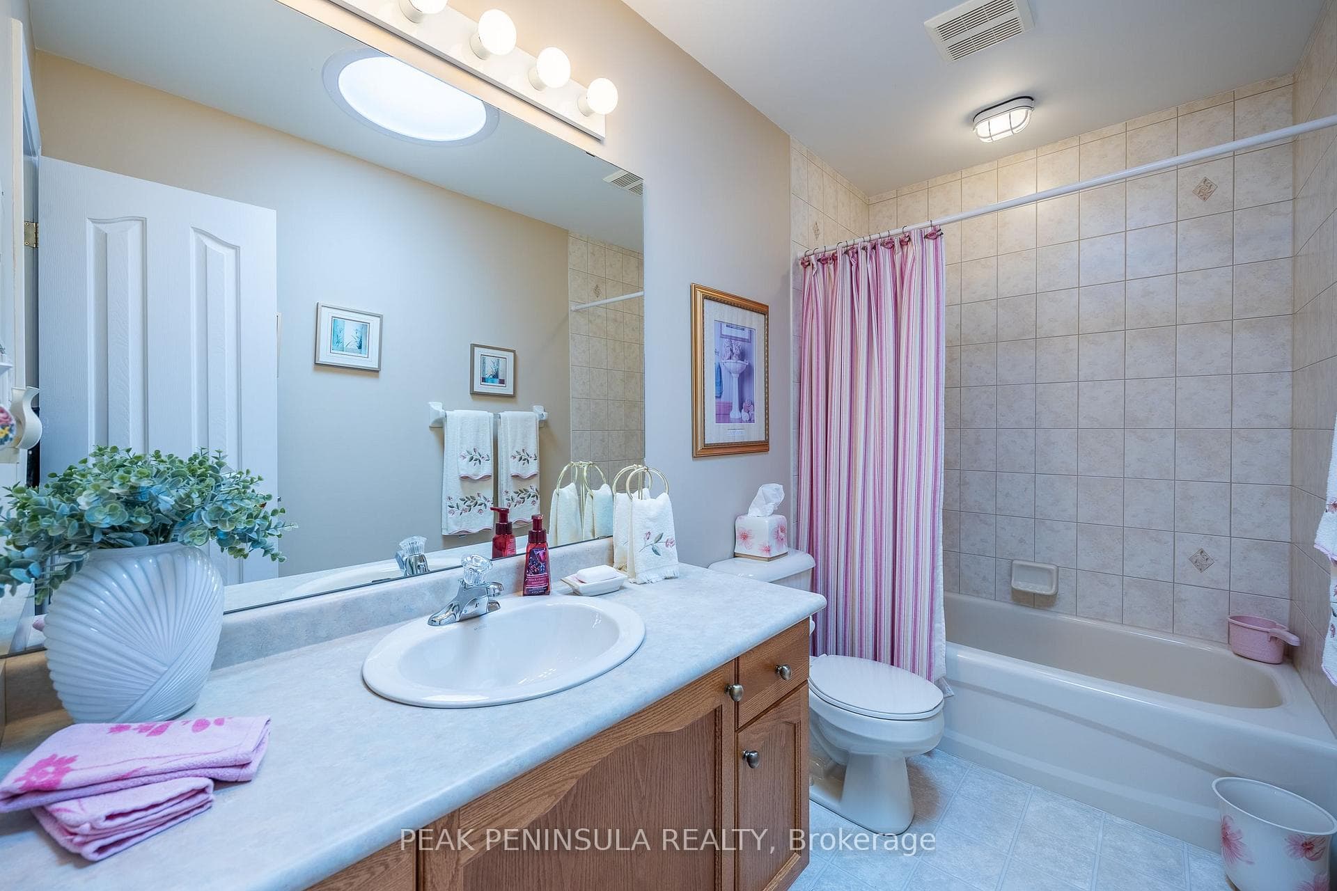 53 Balsam Trail photo 17