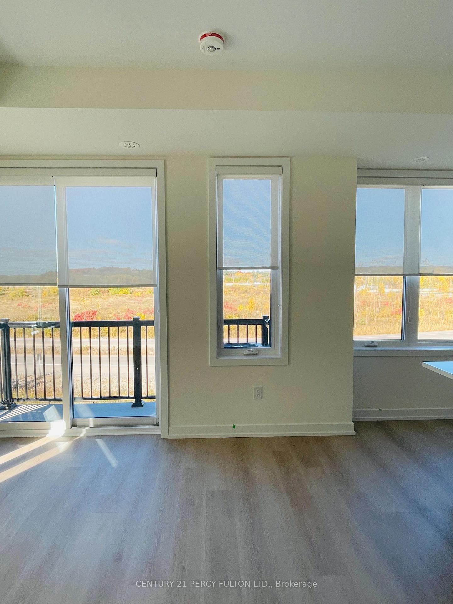 LOOKING OUT TO BALCONY