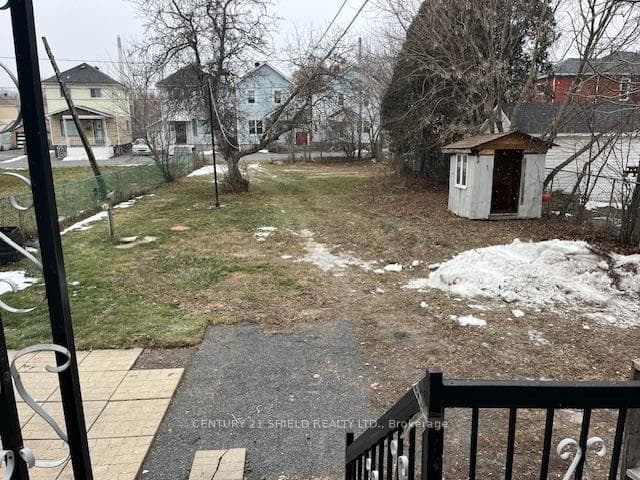 View of the large backyard