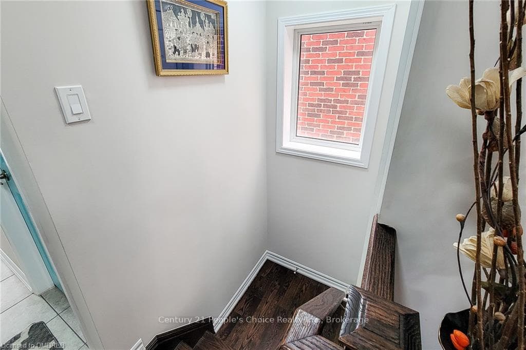 35 OLIVIA Street photo 42