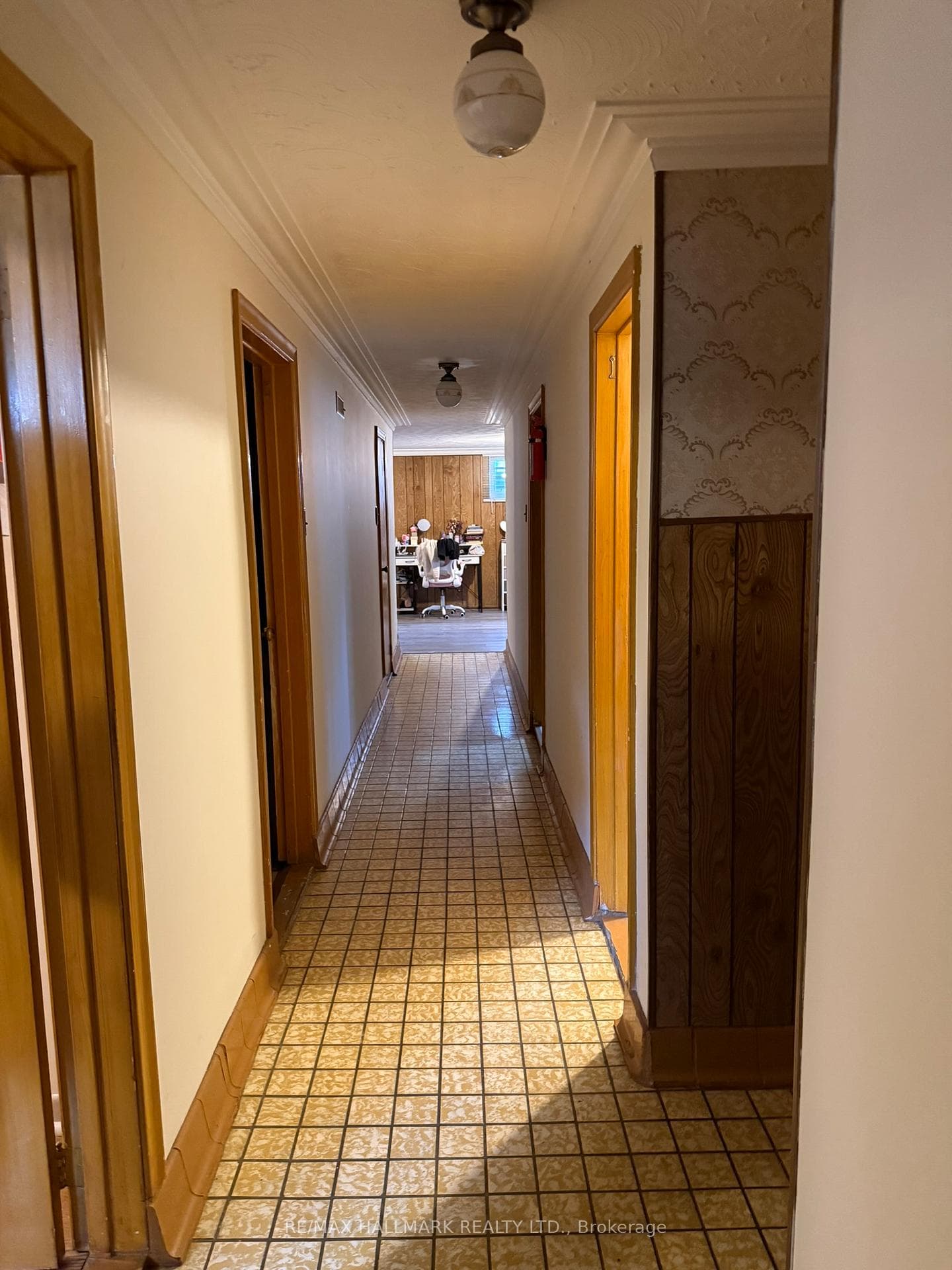 9 Macleod Street photo 19