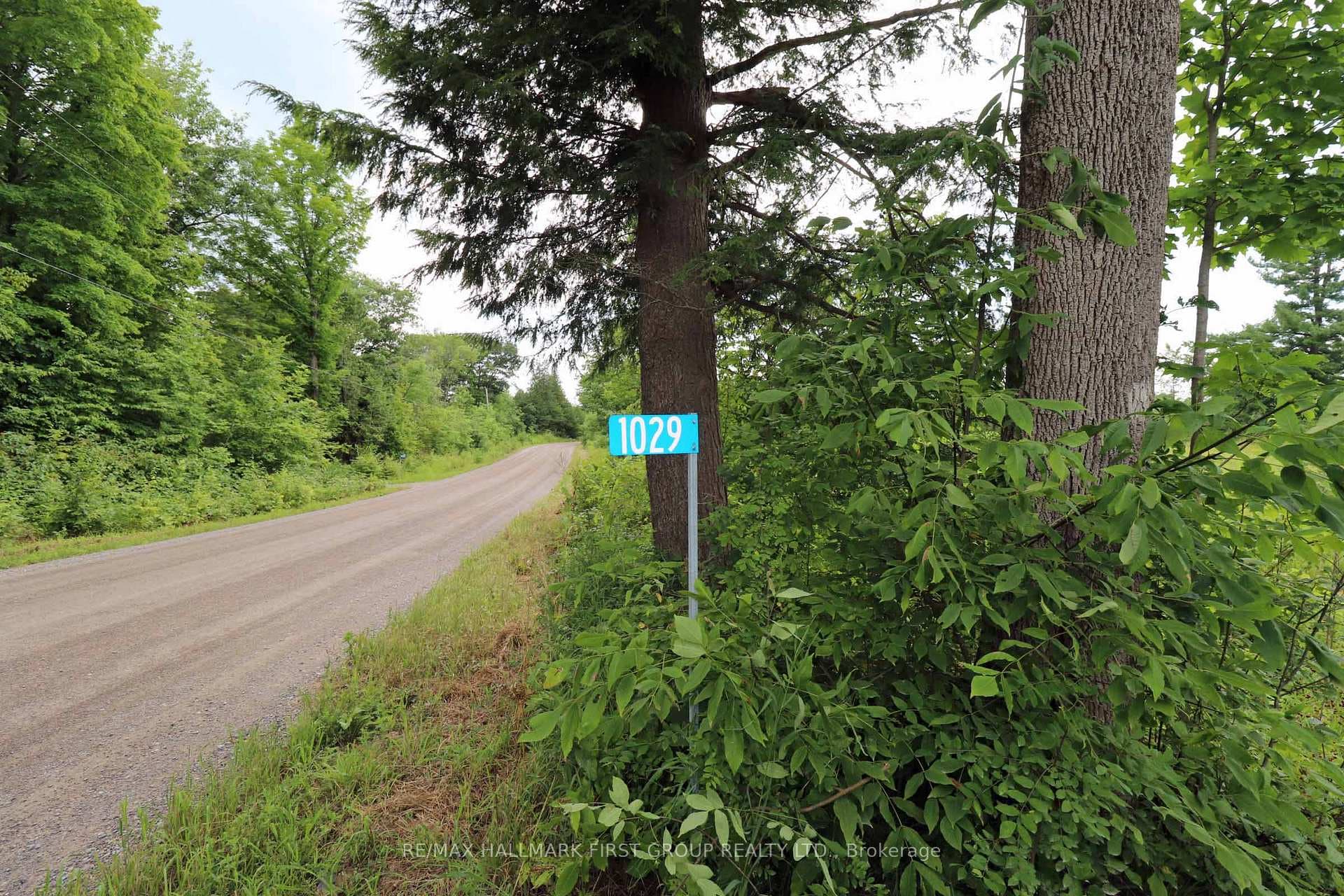 1029 Bronson Rapids Road photo 4
