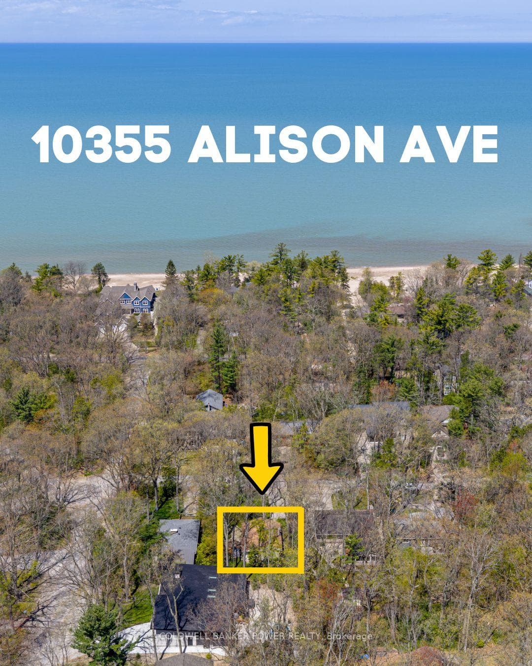 10355 Alison Avenue photo 2