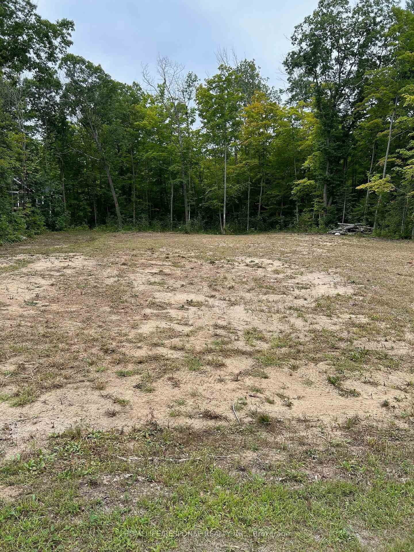 56 Poplar Drive photo 4