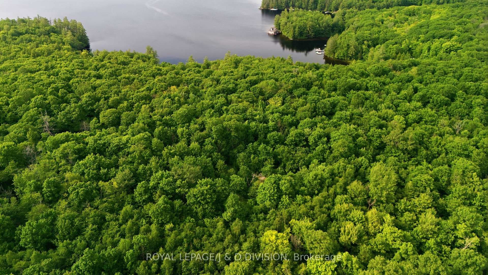 188 Blackstone Lake, Water N/A photo 11