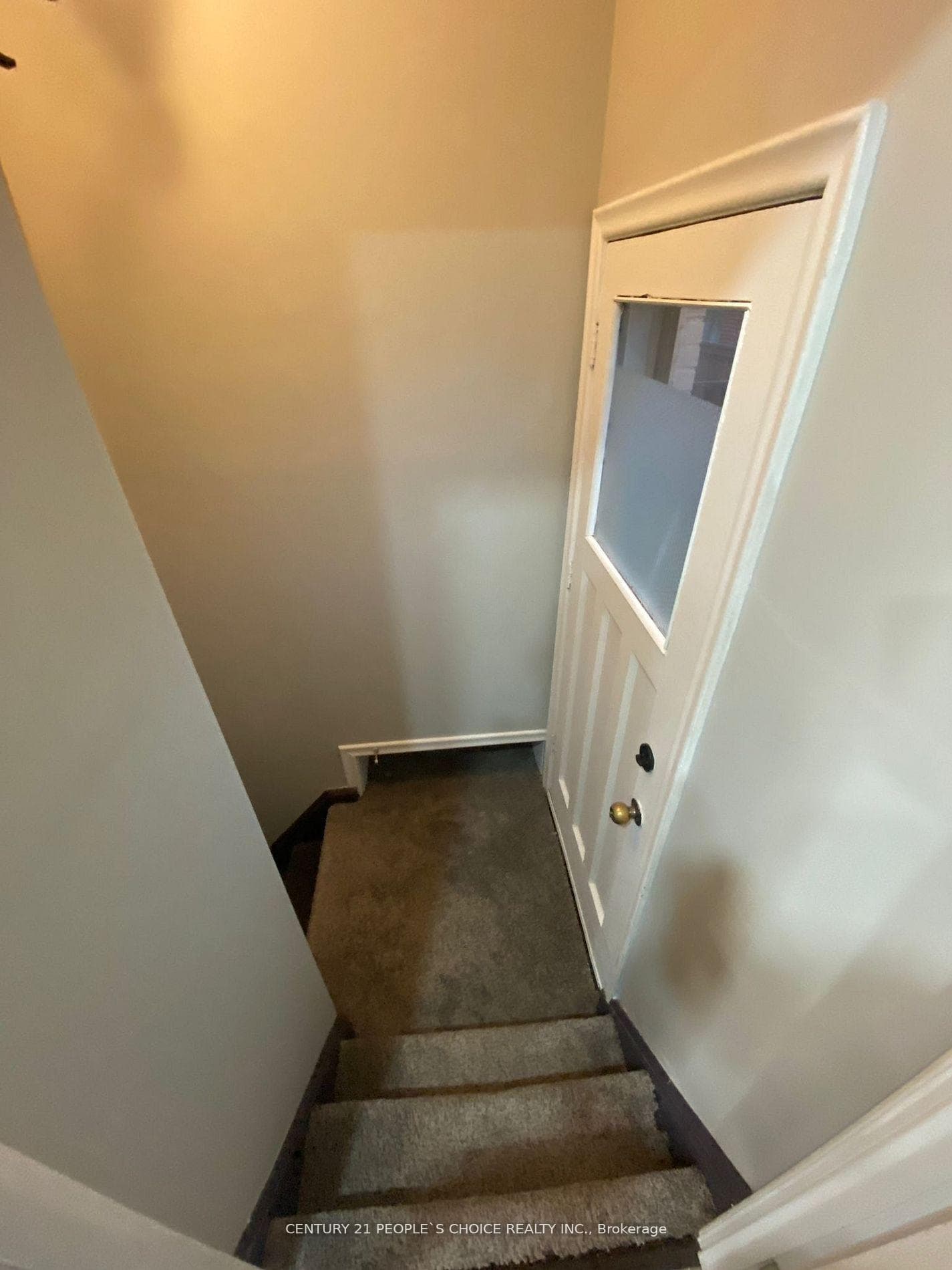 12 Prince Charles Drive photo 20