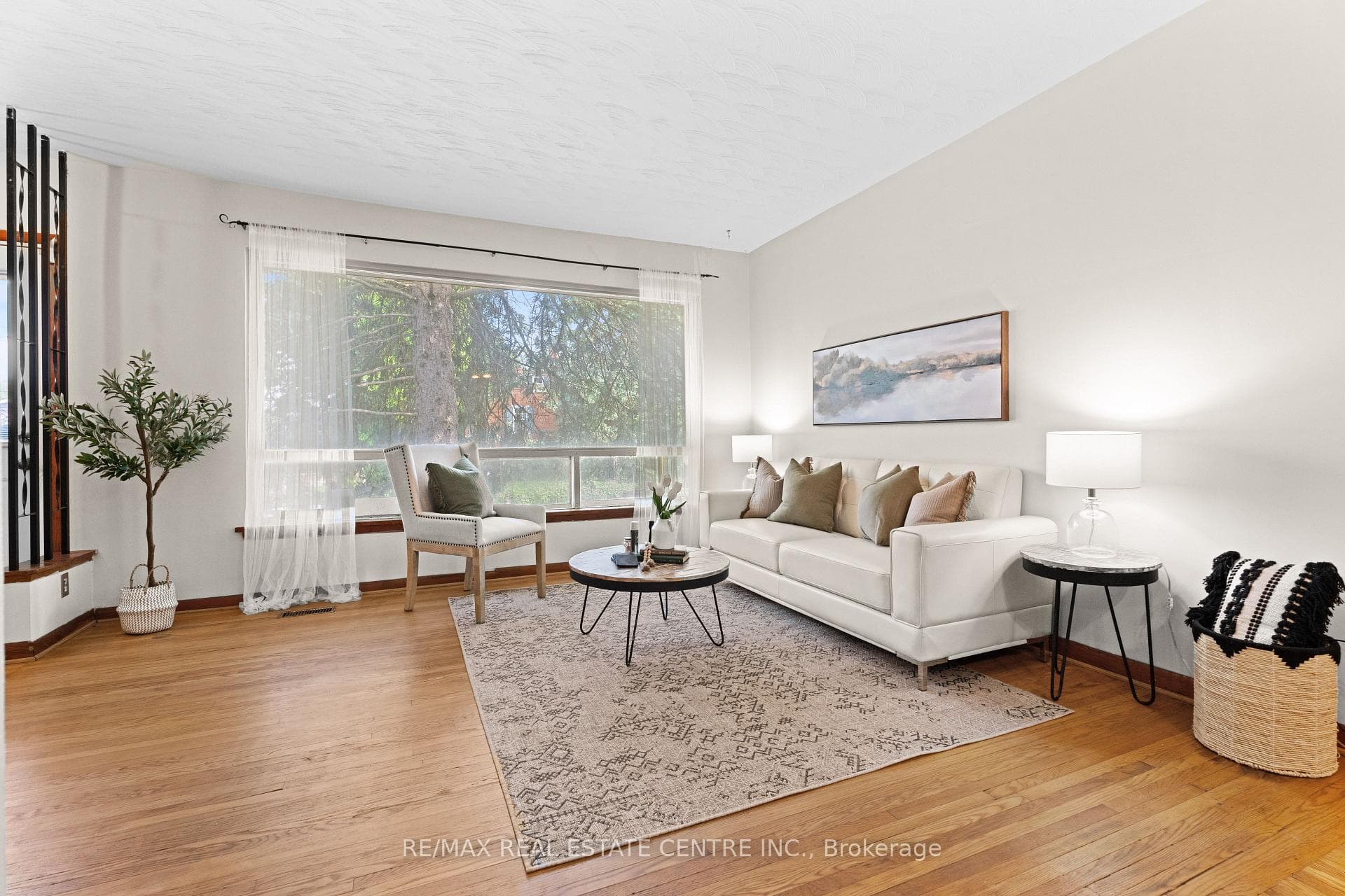12 Ewing Street photo 12