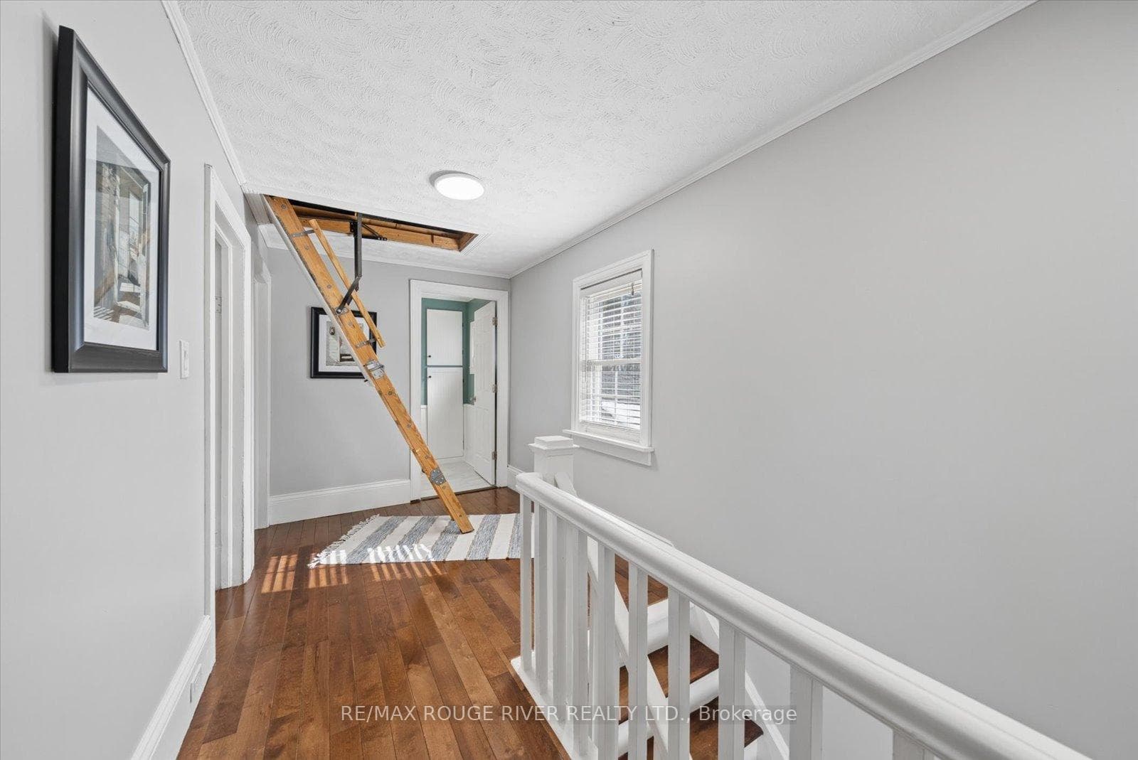 137 Elgin Street photo 36