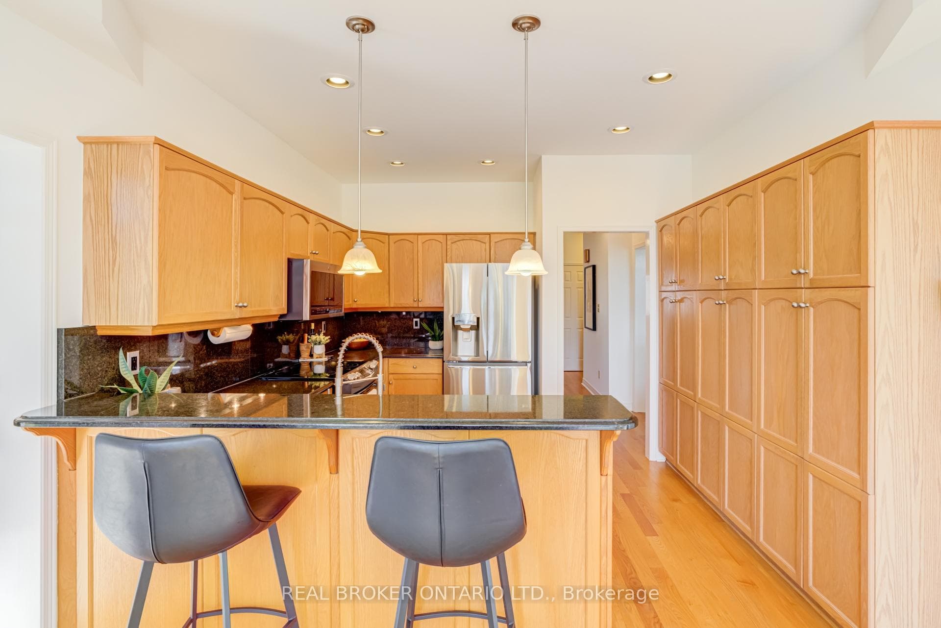 886 Darwin Drive photo 11