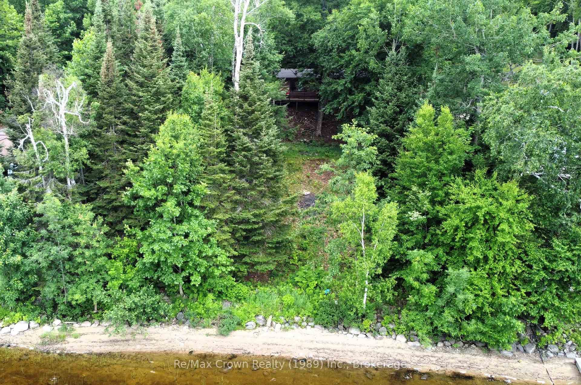 687A Limberlost Point Road photo 2