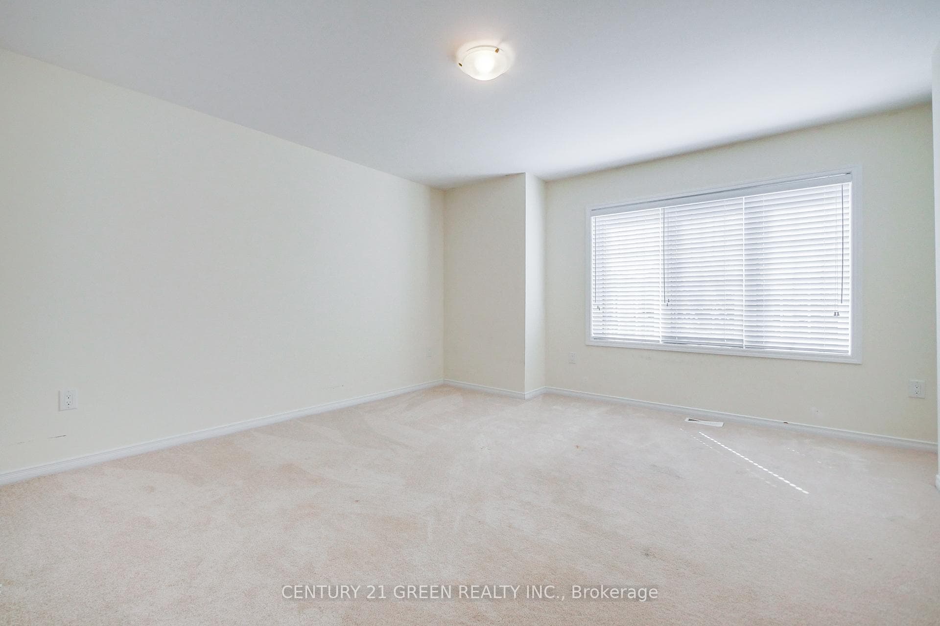 12 Beatty Avenue photo 22