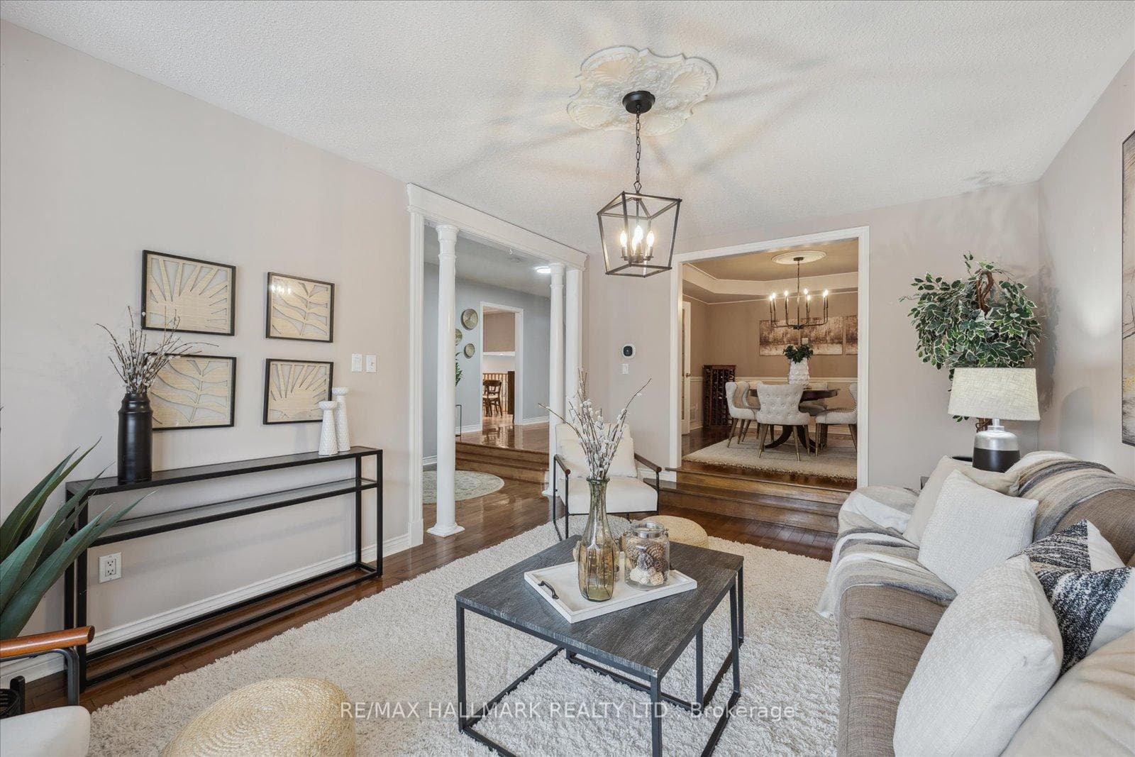 55 Darley Street photo 7