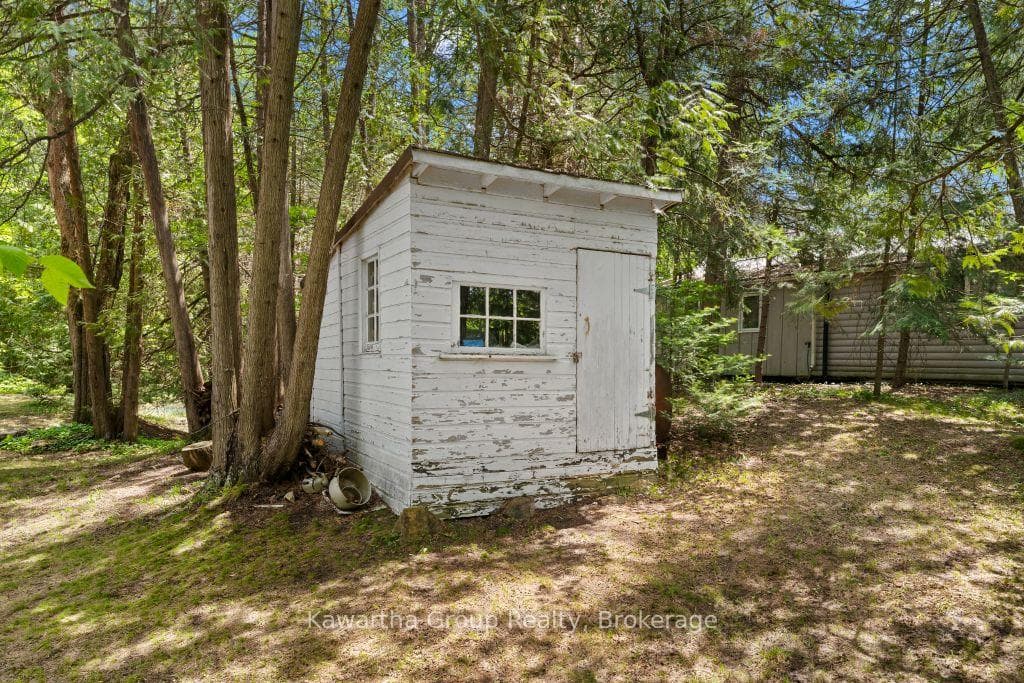 Back door to Shed