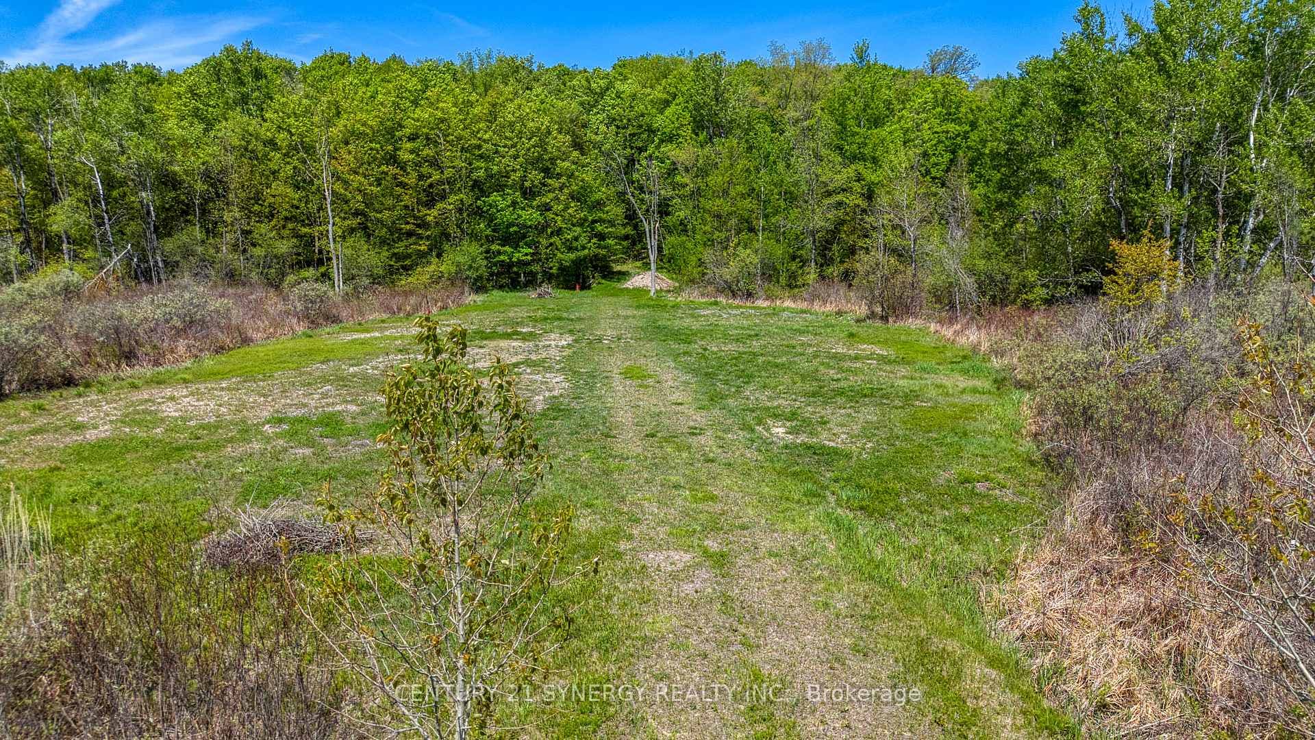 19112 Highway 7 Highway photo 8