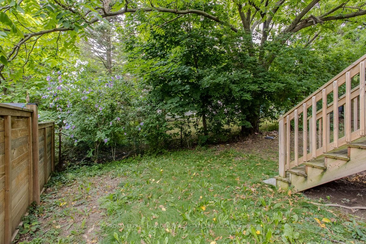 6B Leeson Street photo 6