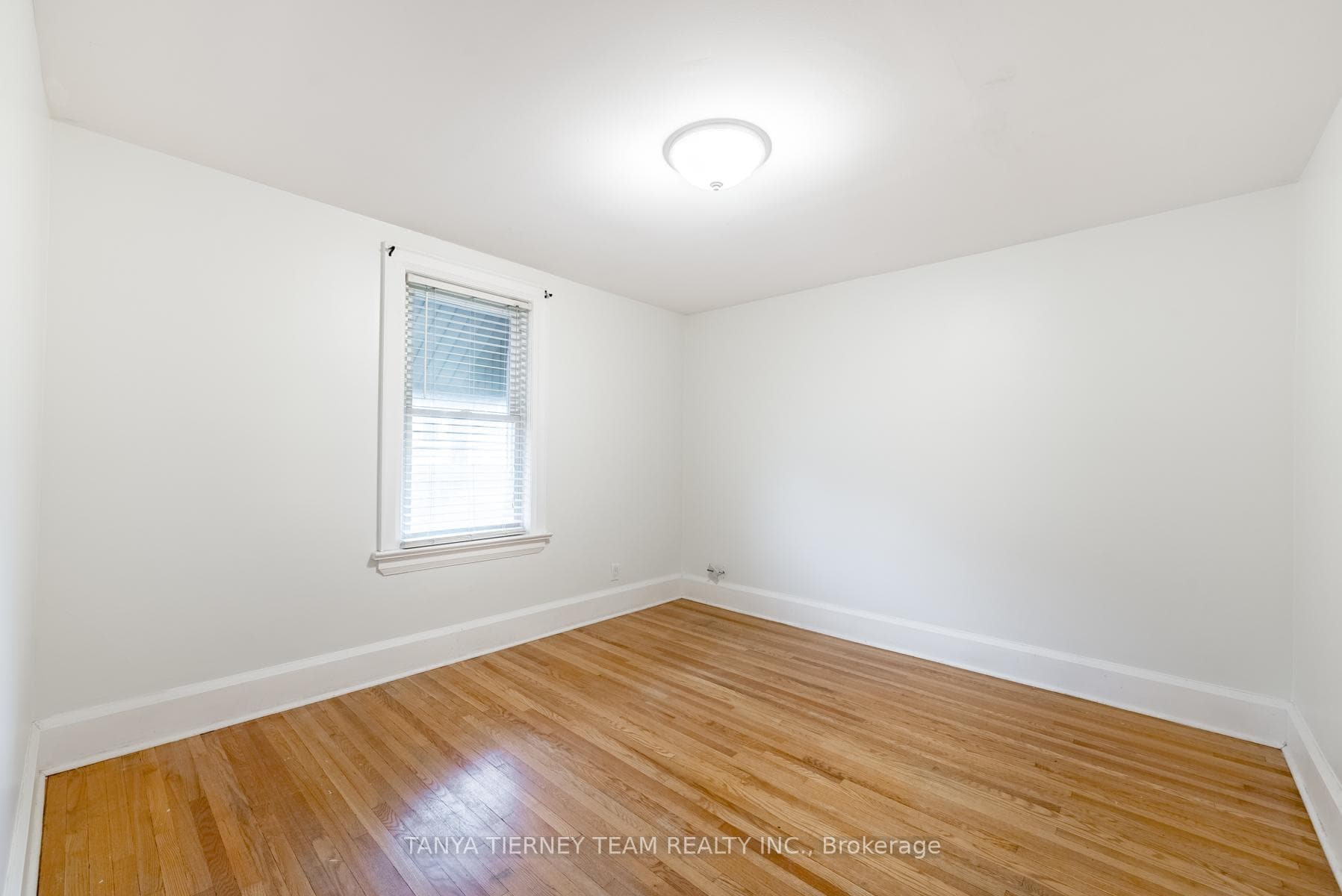 81 Rowe Street photo 19