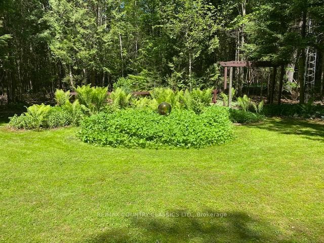 Garden along side the Driveway In