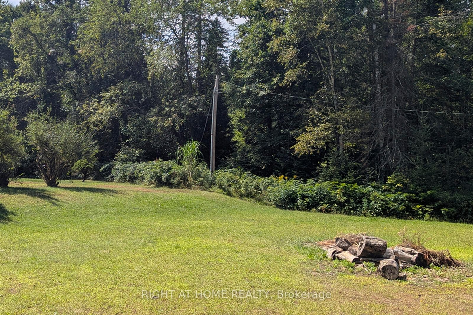 524 BALSAM CHUTES Road photo 7