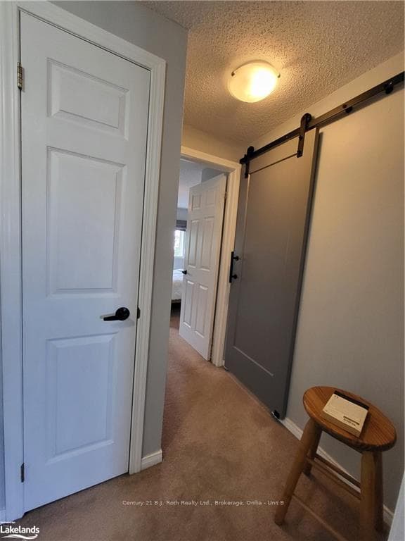 33 COURTNEY Crescent photo 11