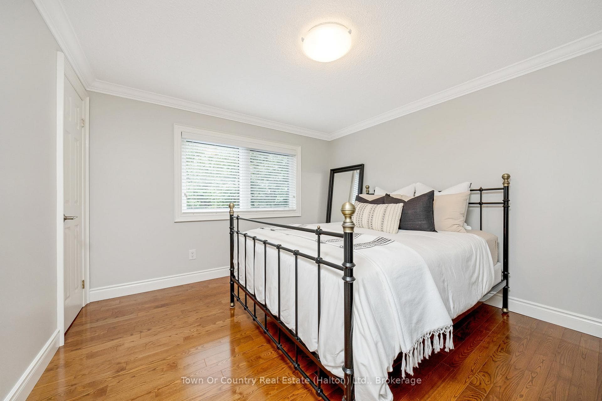 491 White Drive photo 29
