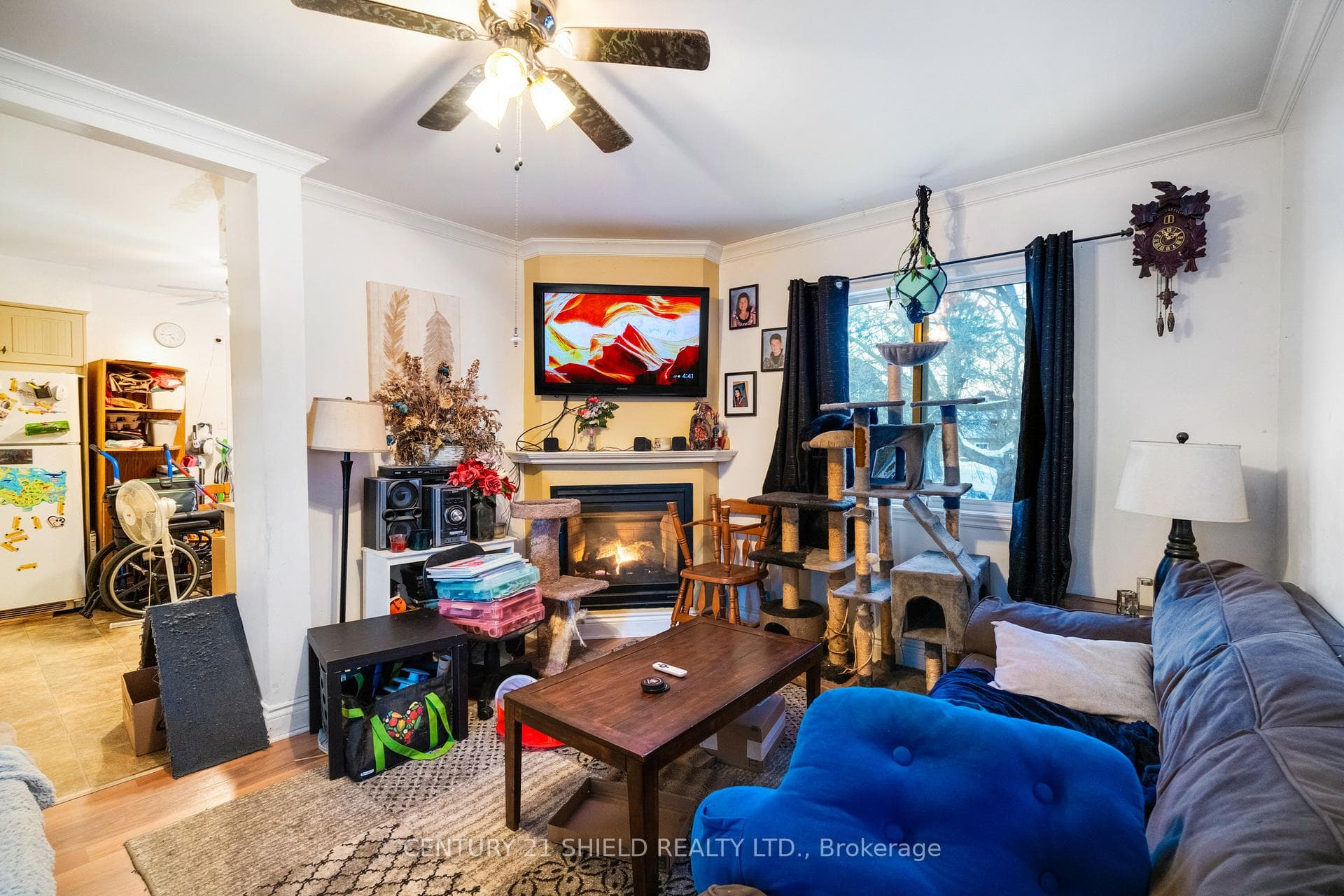 37 Timothy Avenue photo 9