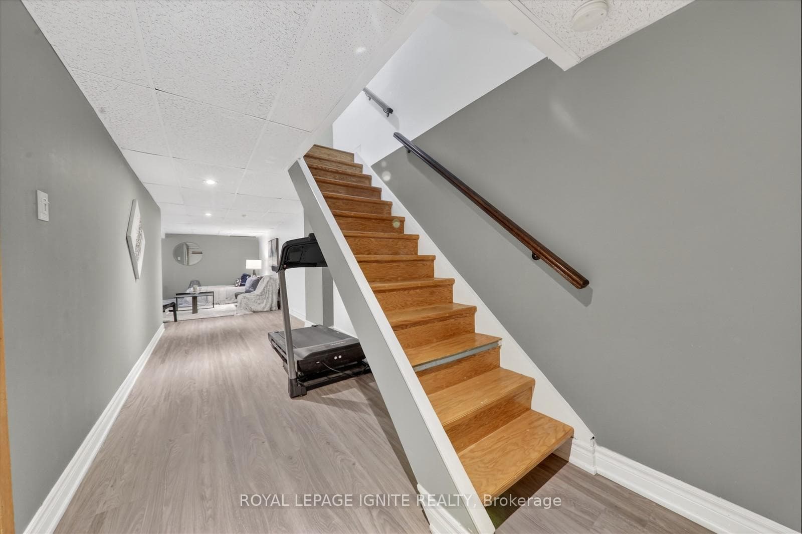 46 Courtlands Drive photo 27