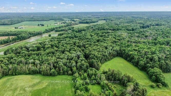 3703 COUNTY RD 21 Road photo 28