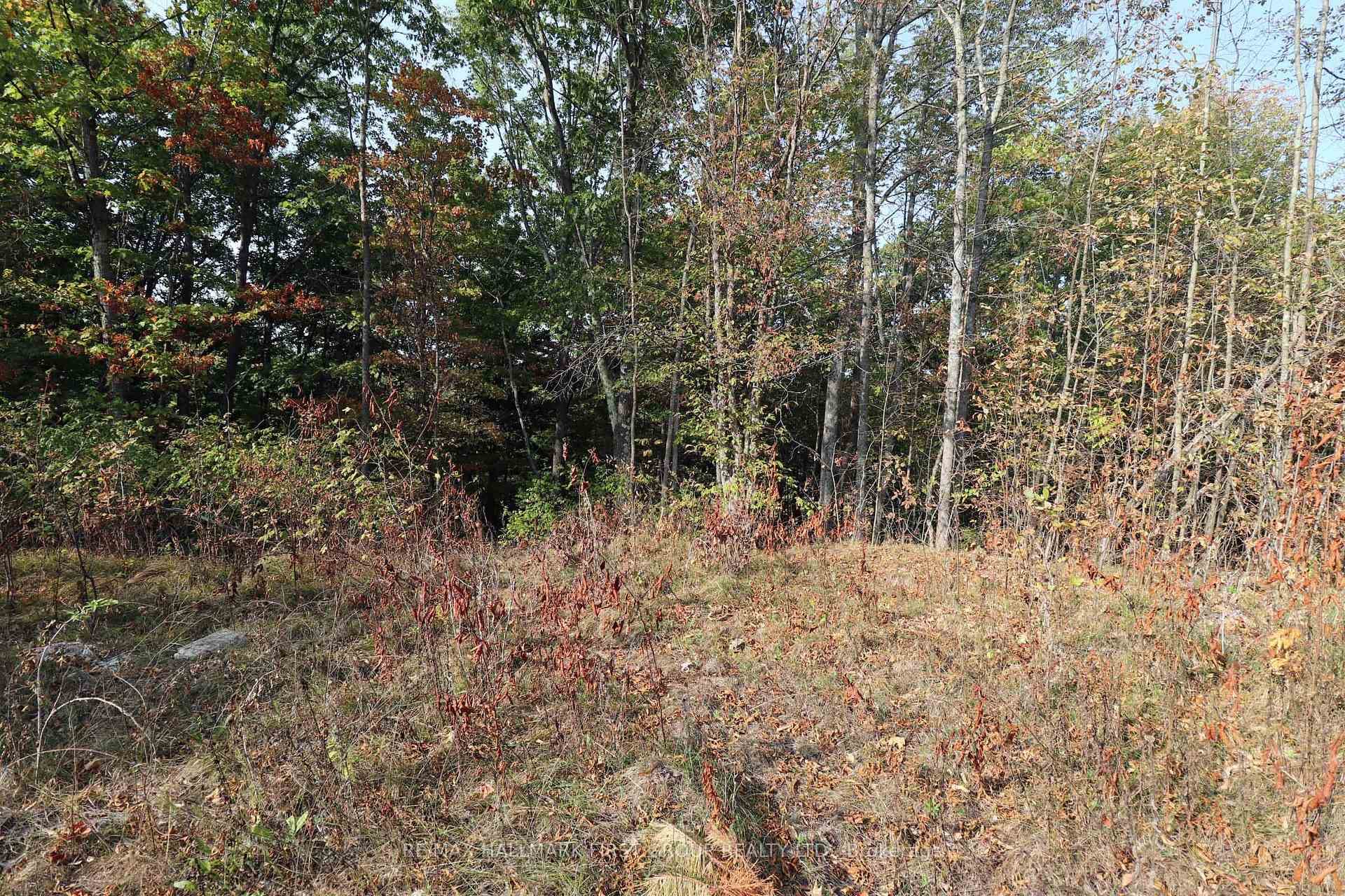 76 Black River Lane photo 10