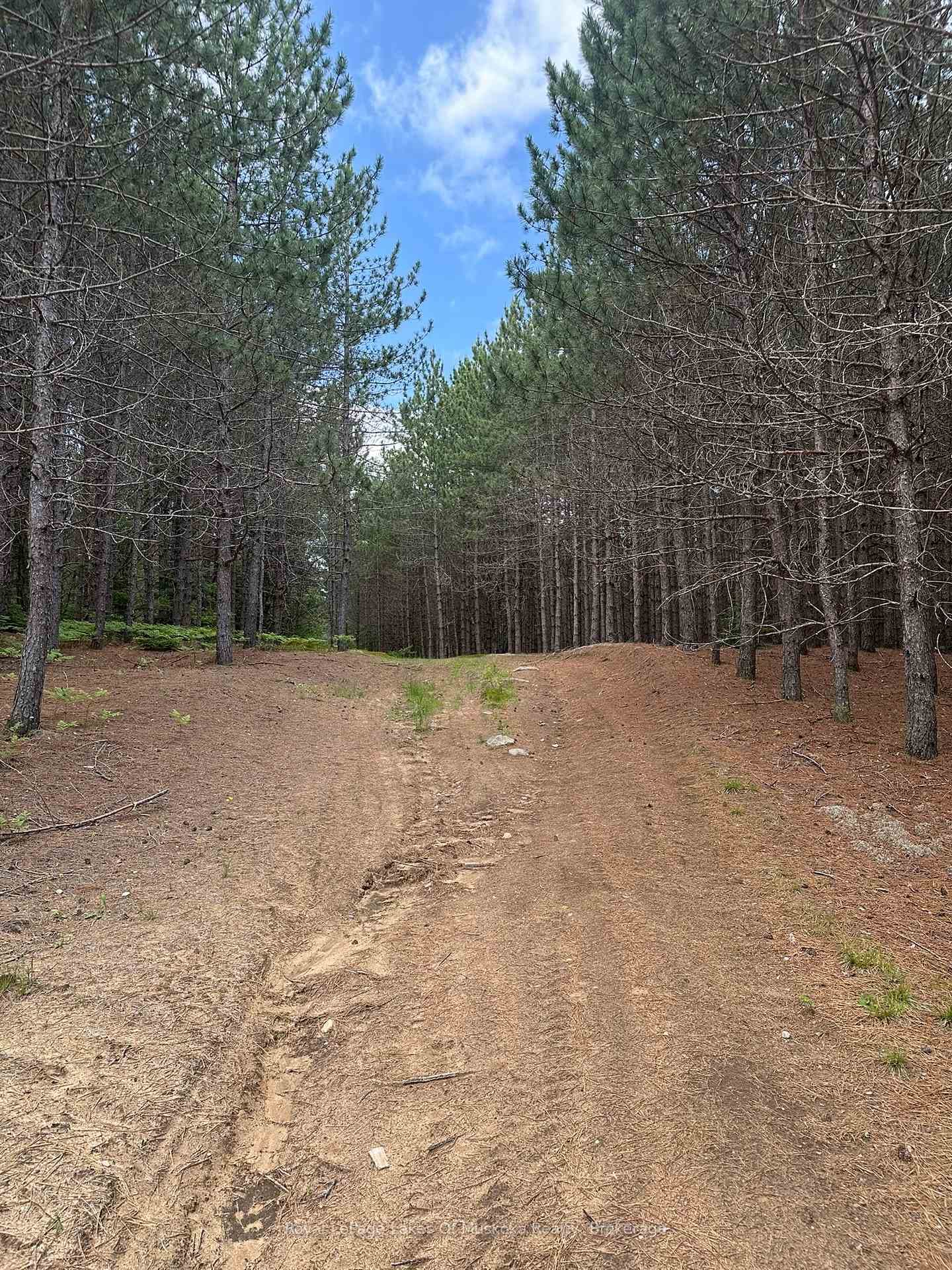 ATVing is Fun