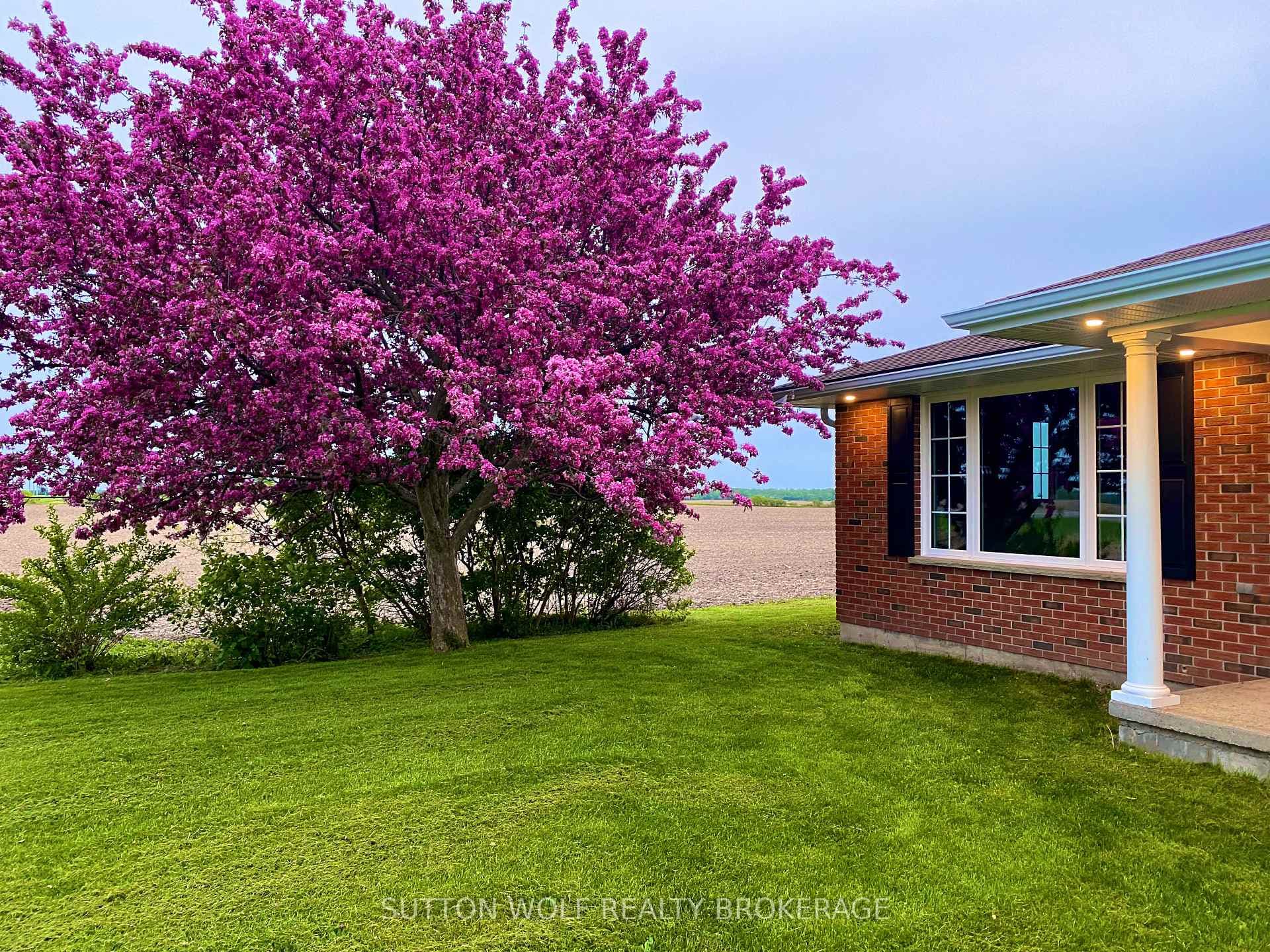 22655 Thames Road photo 35
