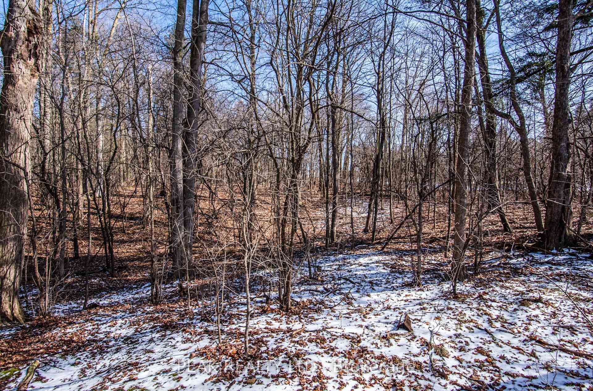 74 Autumn Ridge Trail Unit 13 photo 35