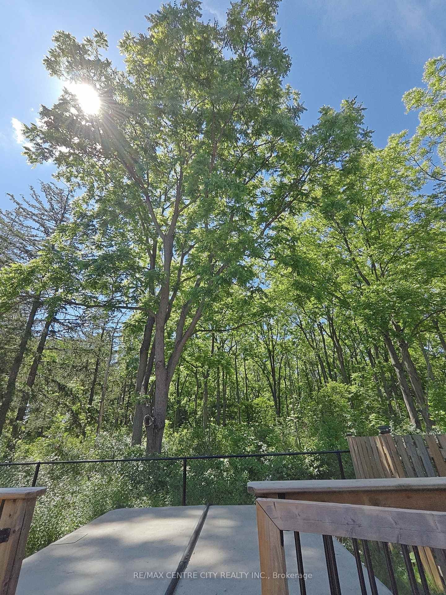 1625 Valhalla Street photo 29