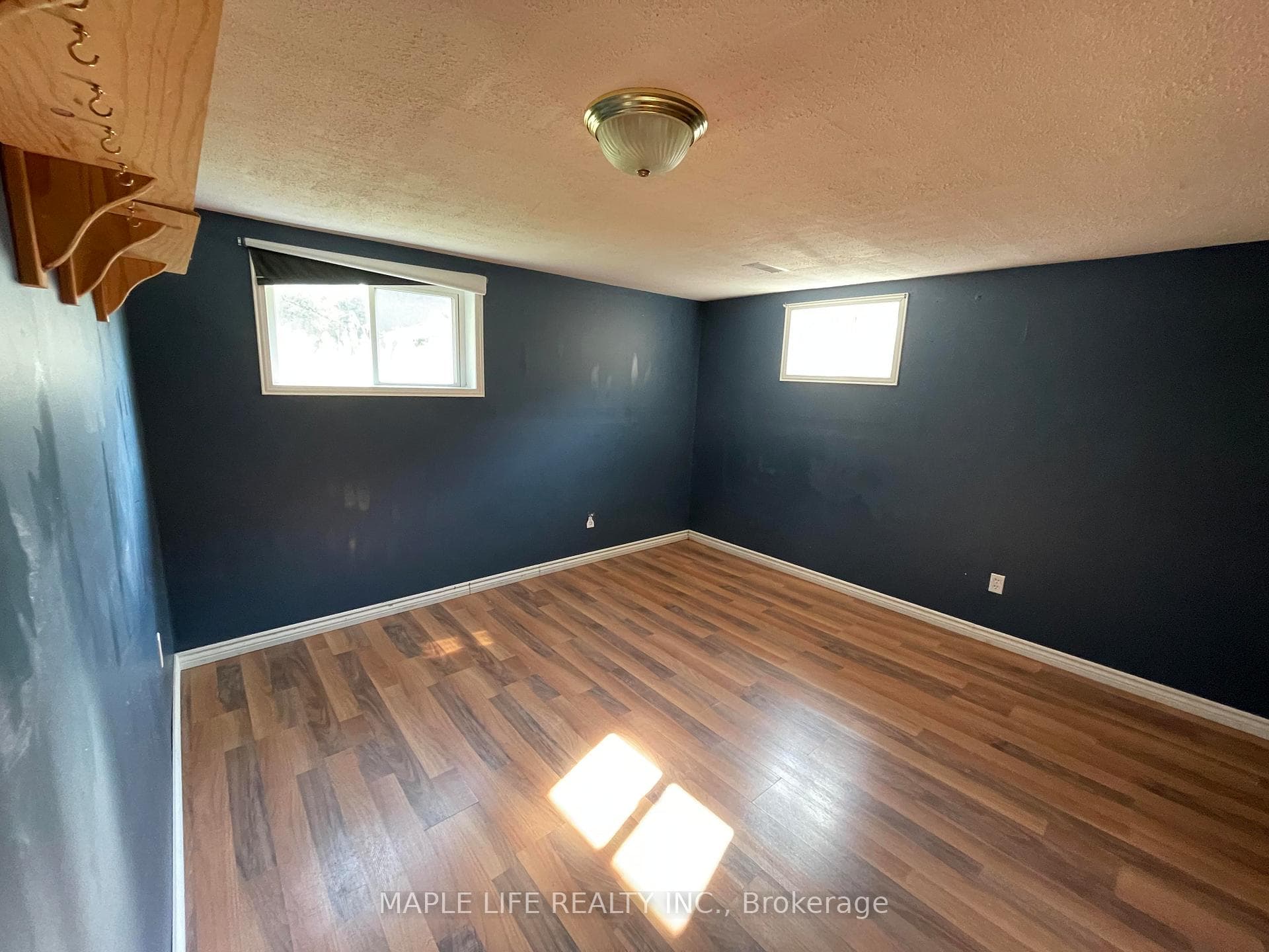 886bsmt Srigley Street photo 6