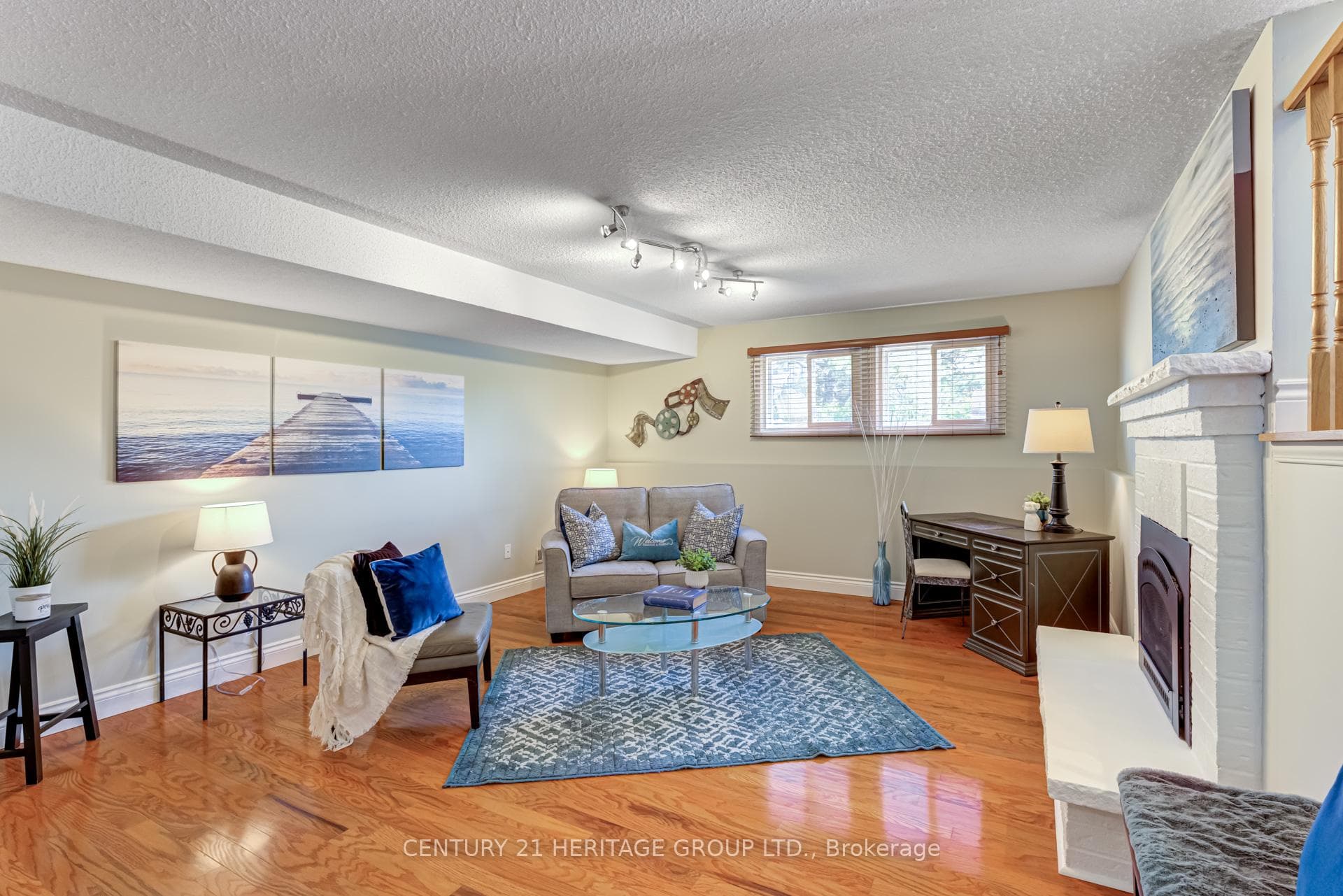 Lower Level Family Room, Above Grade Windows