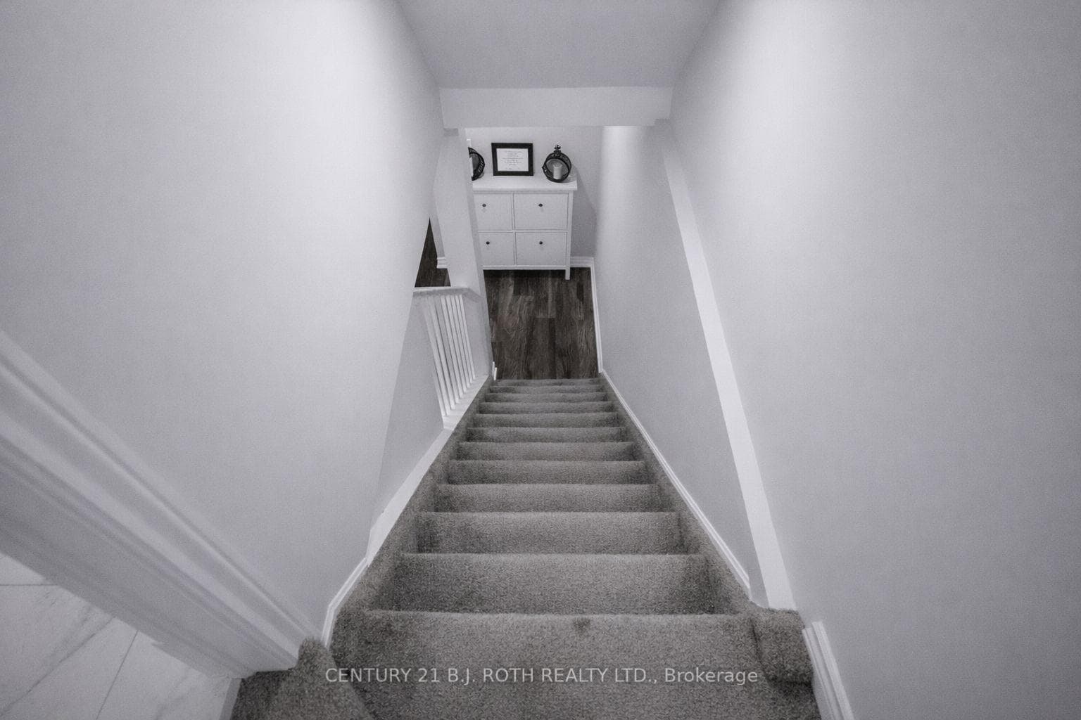 9 Laidlaw Drive photo 24
