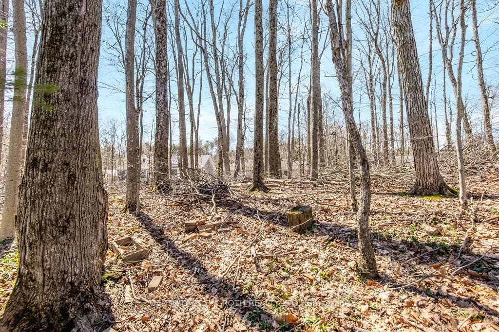 15 Sugarbush Road photo 39