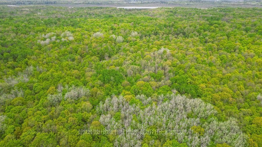 452B Cold Water Road photo 29