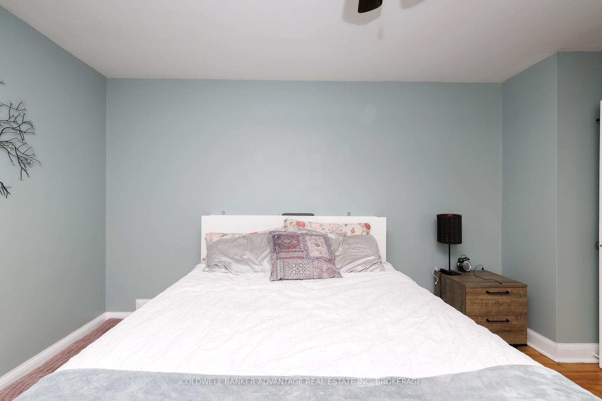 6 BRUCE Street photo 18